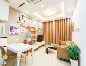 Very cheap apartment for rent at Vinhomes D'. Capitale Tran Duy Hung (15)